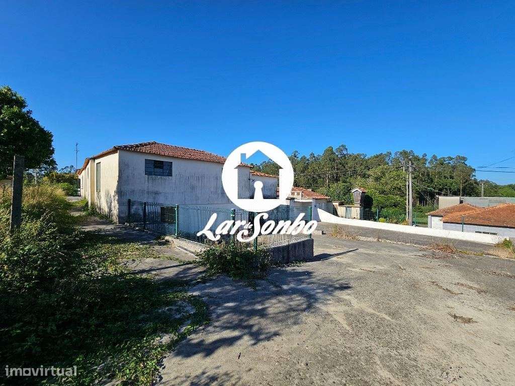 Quinta T4 em Rio Meão com 7500m2-32