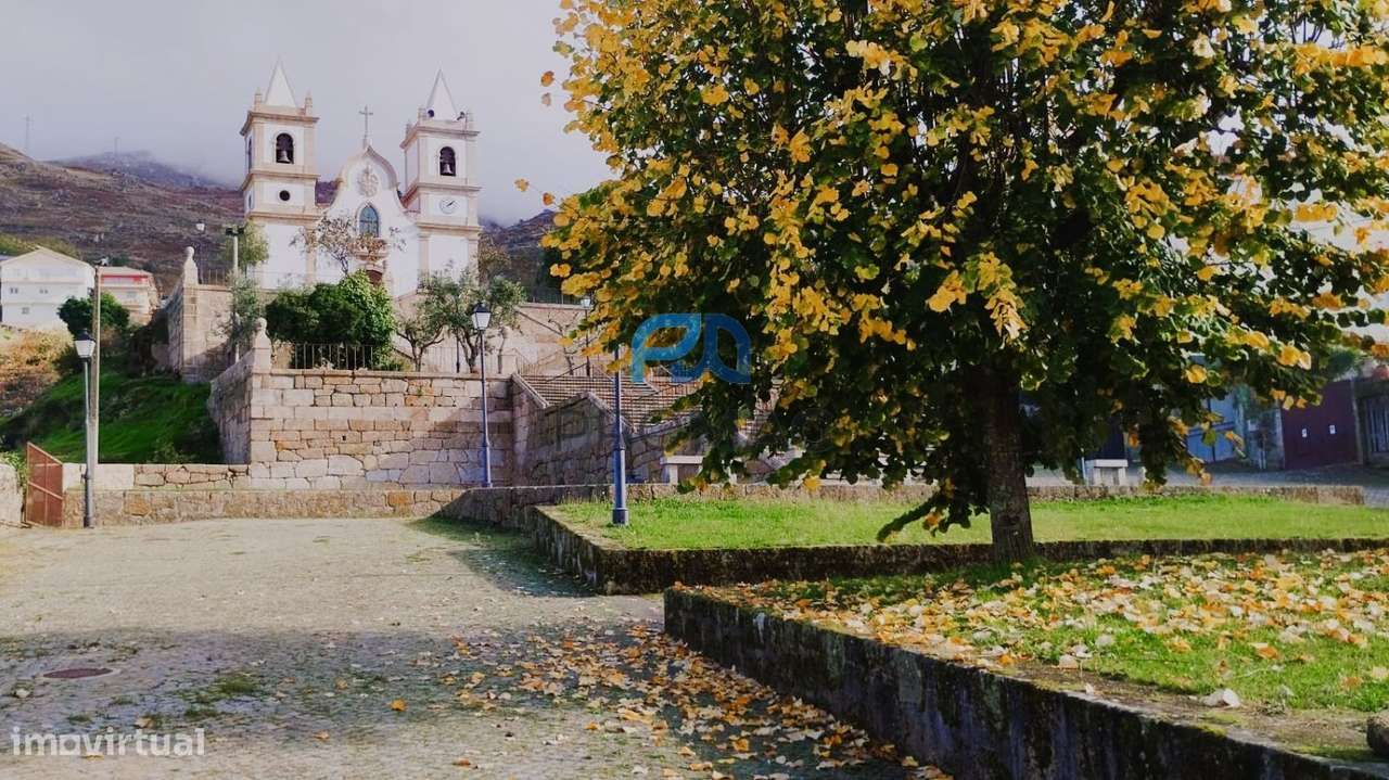Moradia V3 para Recuperar em São Martinho de Mouros-22
