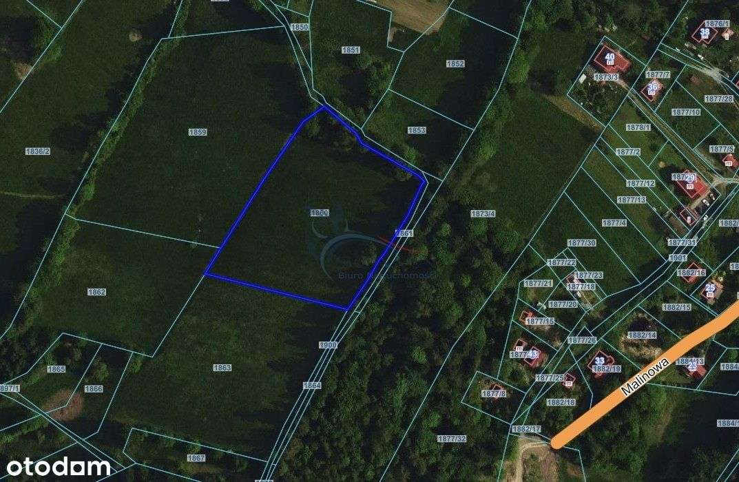 Działka budowlana 77a Brenna - Okazja!! - Pełny obrazek: 4/7