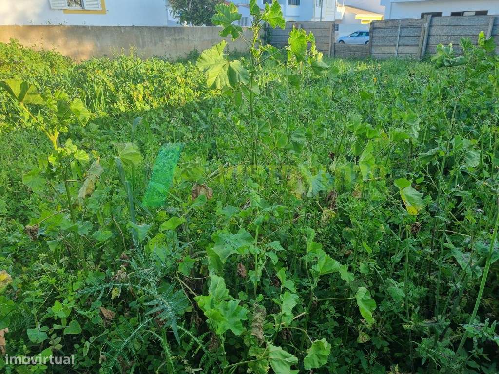 Lote Urbano para Construção entre Portimão e Alvor - Excelente Opor... - Grande imagem: 4/23