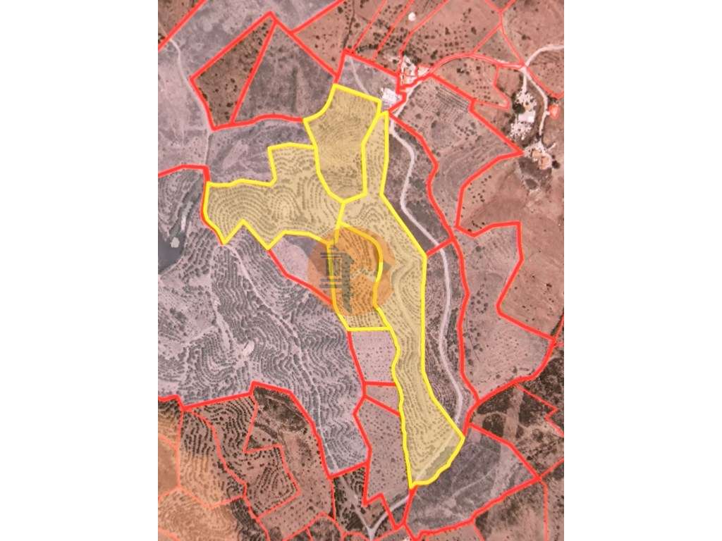 TERRENO COM 11 HECTARES - VISTA MAR - LAGO PRIVADO - EM VALE DAS ZO... - Grande imagem: 2/32