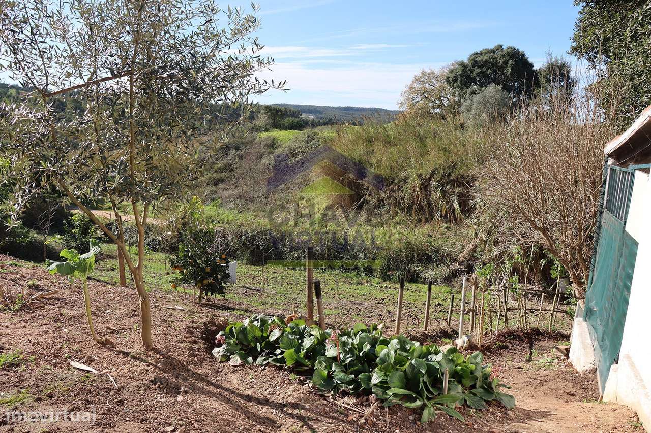 Magnífica Quinta c/ 10.490 m2 Concelho Cadaval-39