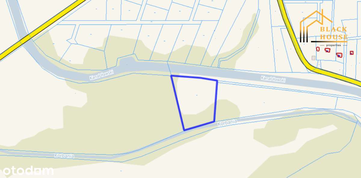 Działka 8108 m² – Dębinka, las, natura, cisza - Pełny obrazek: 4/4