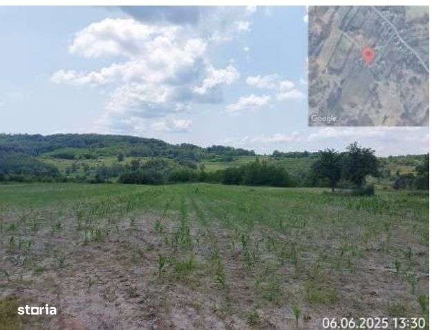 Teren extravilan loc. , Jud Gorj - Imagine principală: 2/3