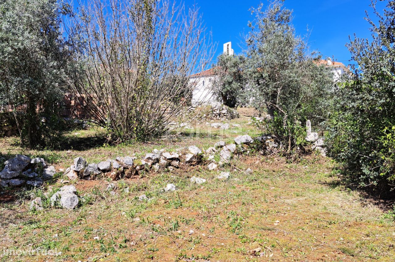 Terreno Urbano em Mira de Aire