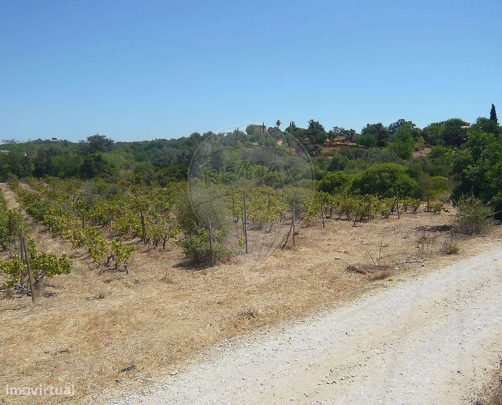 Terreno  para venda - Grande imagem: 1/10