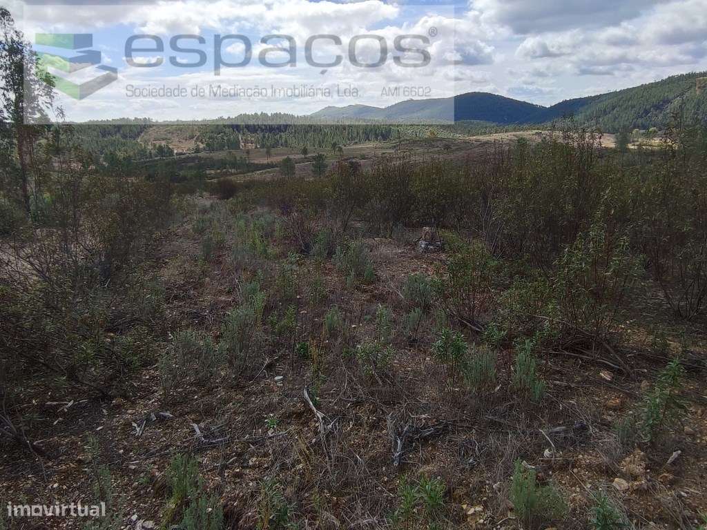 Terreno rústico - Martim Branco - Grande imagem: 3/9