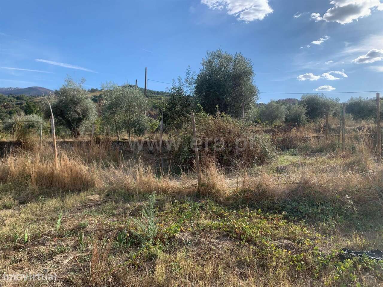 Terreno com ruina / Fundão, Telhado - Grande imagem: 5/20