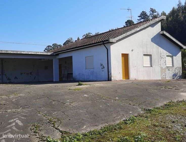 Vende Quinta 1 hect Meinedo Lousada-20