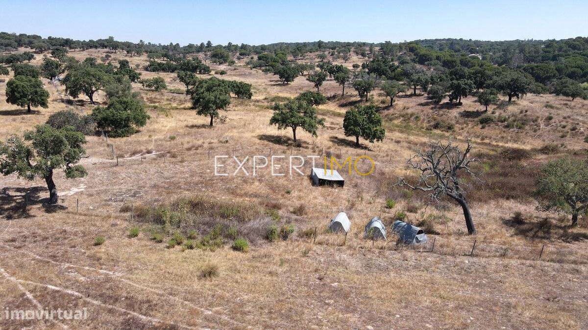 Herdade com 81,79 ha - Mora-8