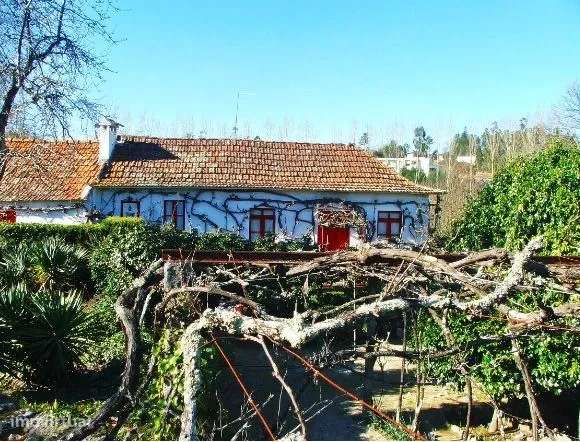 Quintinha a 20 minutos do porto-Ref.SD/04531/MH - Grande imagem: 2/7