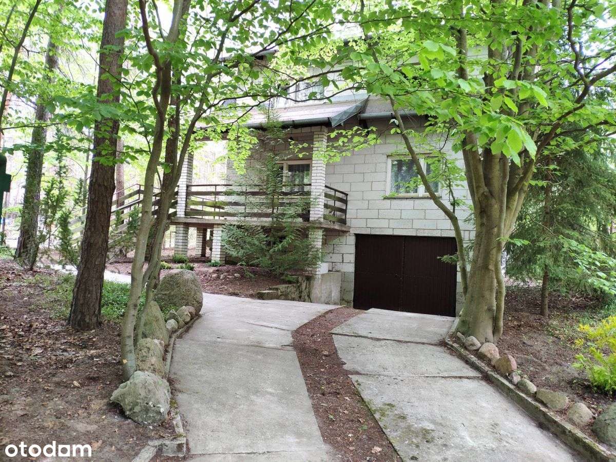 987102 - Pełny obrazek: 3/17