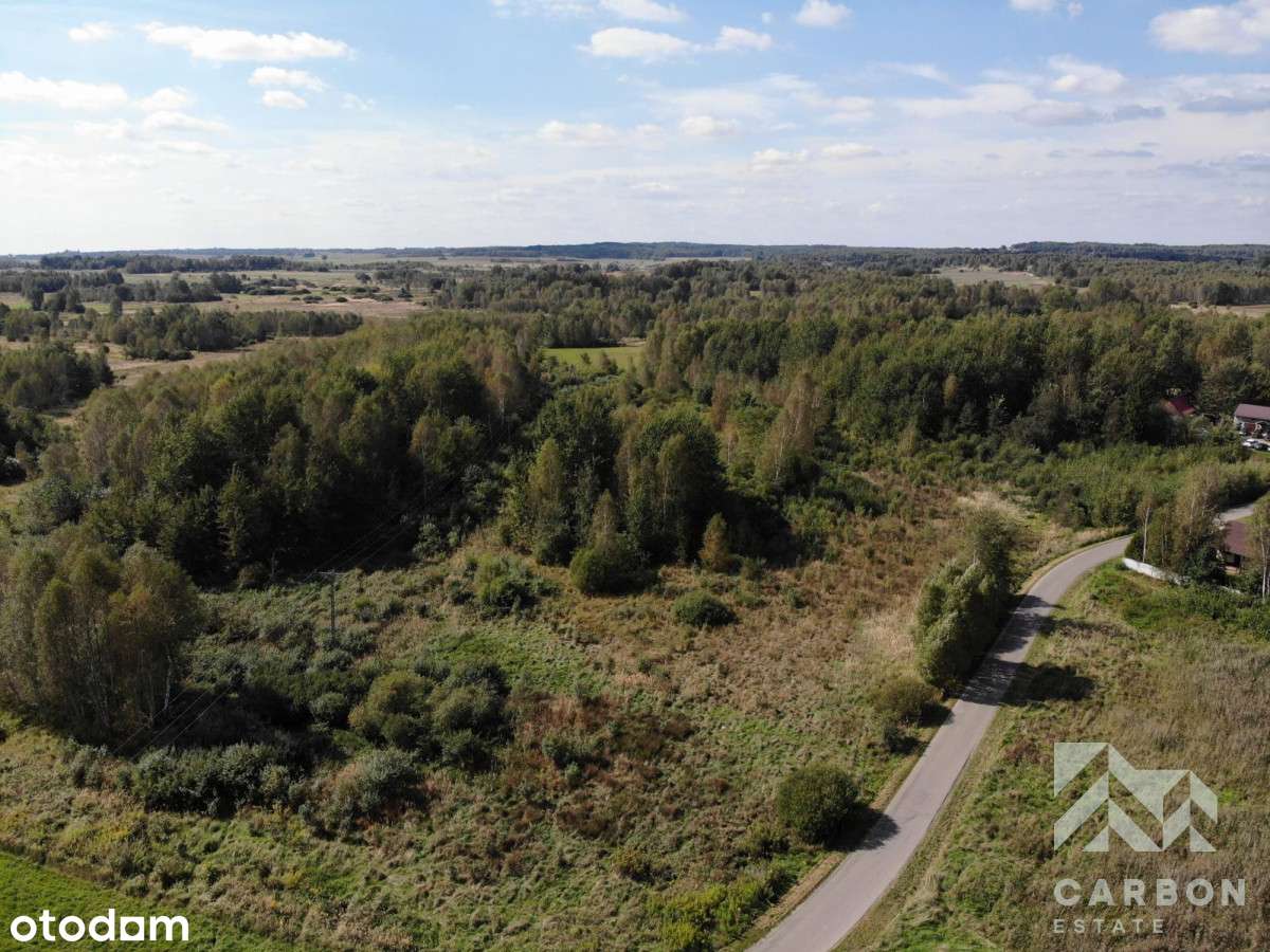 Działka 43 ary z warunkami zabudowy – Koziegłowy - Pełny obrazek: 4/4