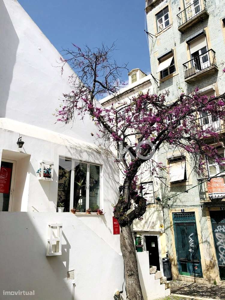 Prédio em Propriedade Total na Mouraria — Ideal para AL ou  T0/T1 - Grande imagem: 4/20