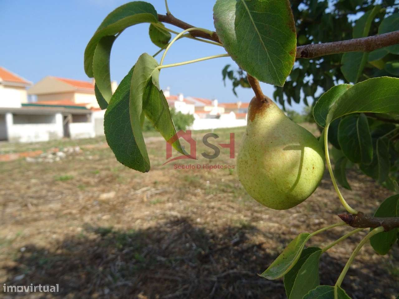 *Moradia T9 - Atouguia da Baleia / Peniche*-48