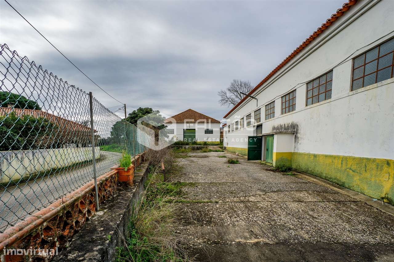 Armazém  Venda em Malhou, Louriceira e Espinheiro,Alcanena - Grande imagem: 4/45