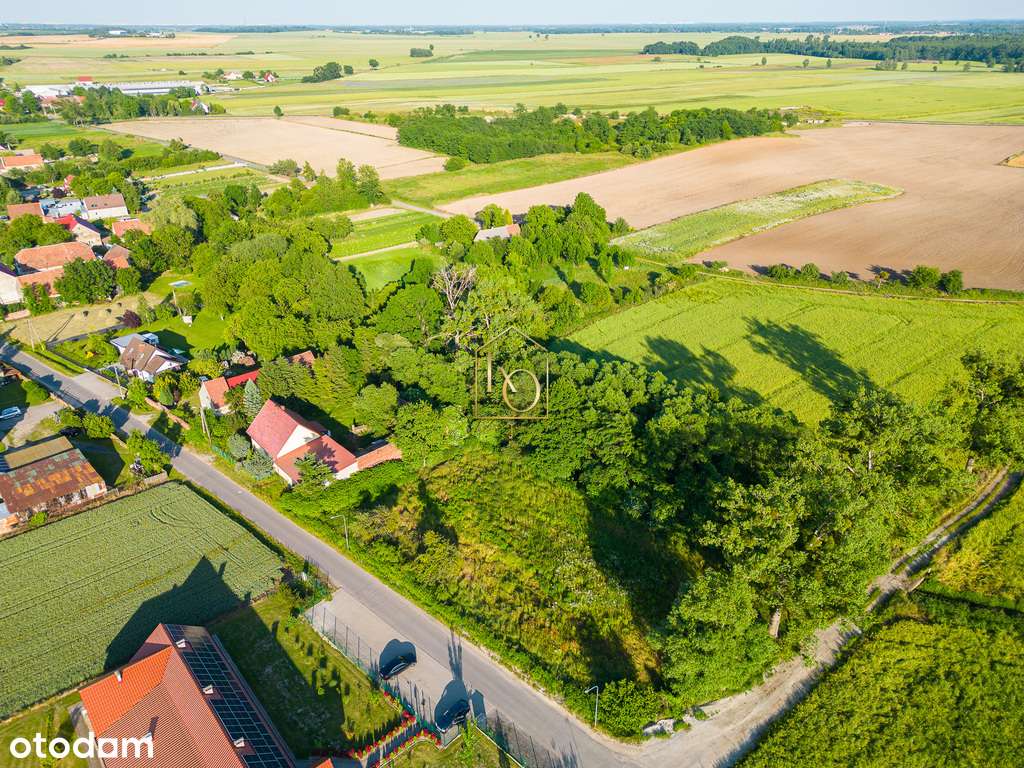 działka budowlana-Kryniczno gmina Środa Śląska - Pełny obrazek: 4/14