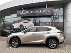 Lexus NX 300 F Sport AWD - 7