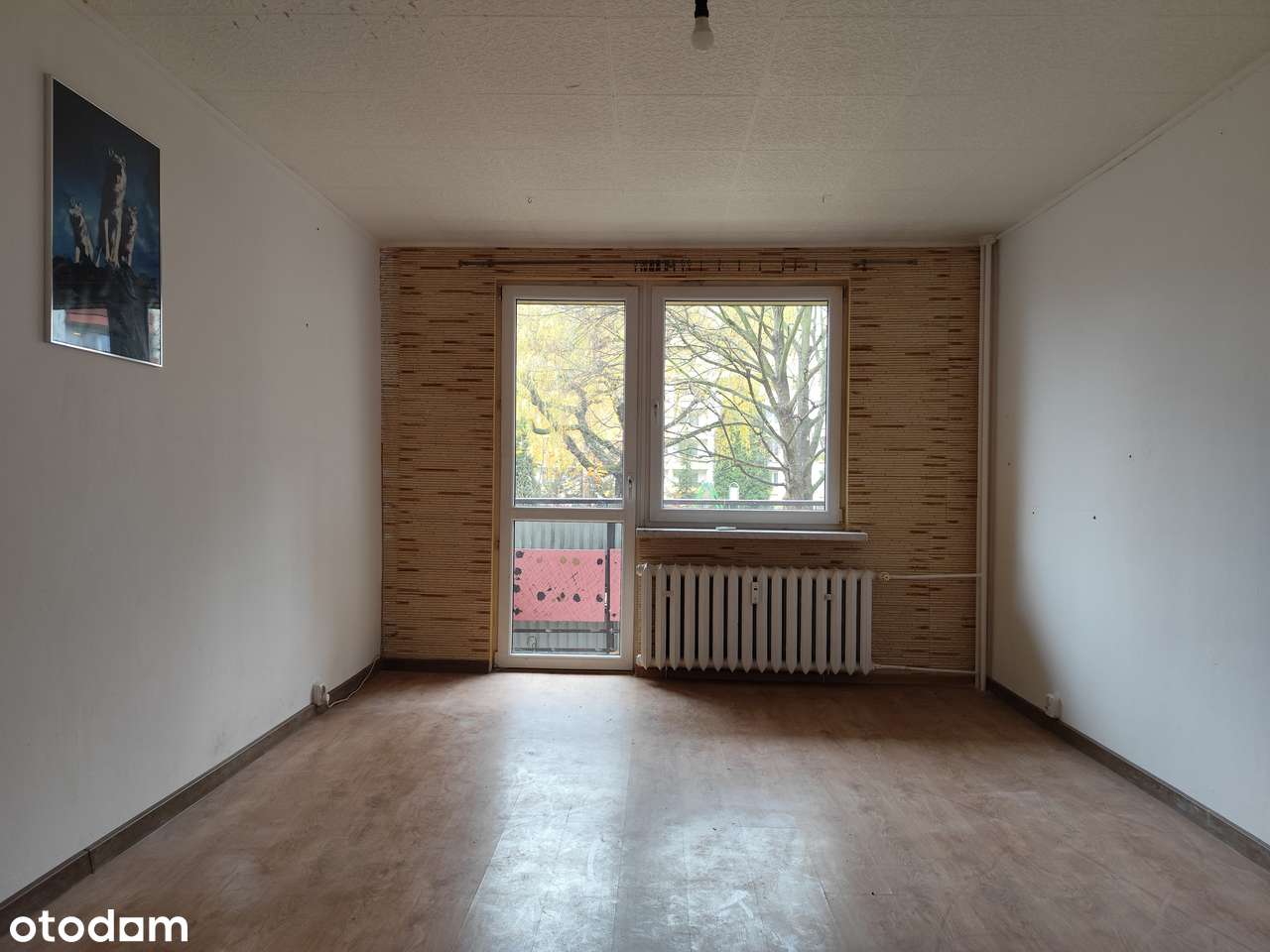 Kawalerka: 37 m2, parter z balkonem, miejskie, do remontu - Katowice-3