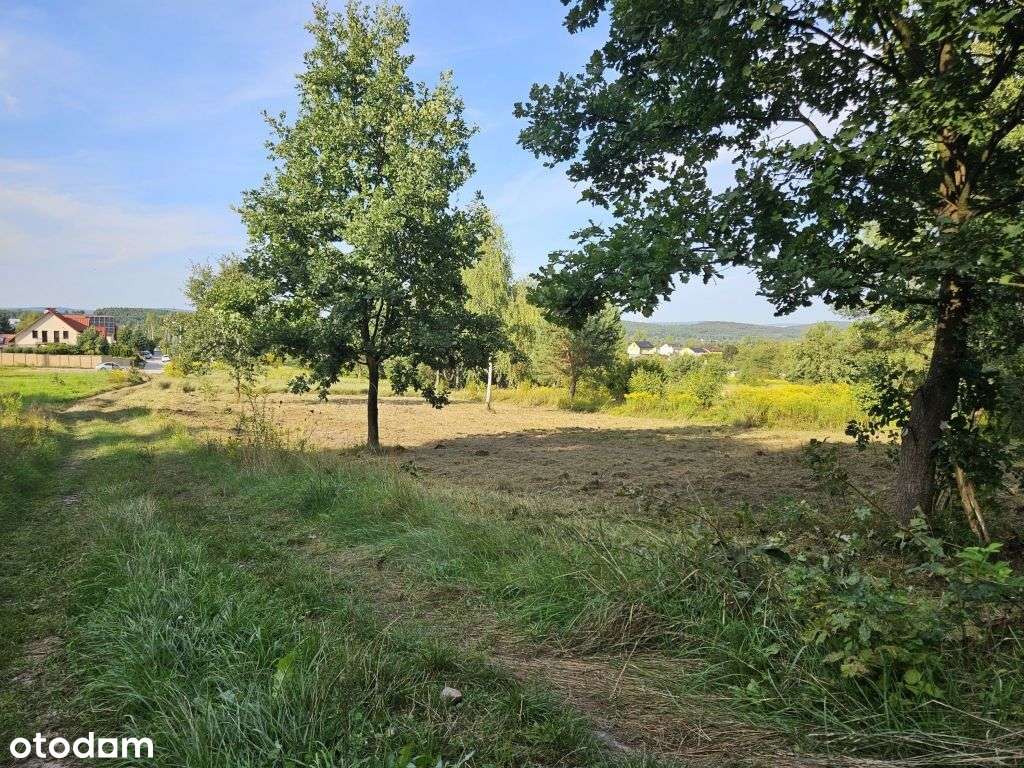 Działka budowlana z własnym lasem-3