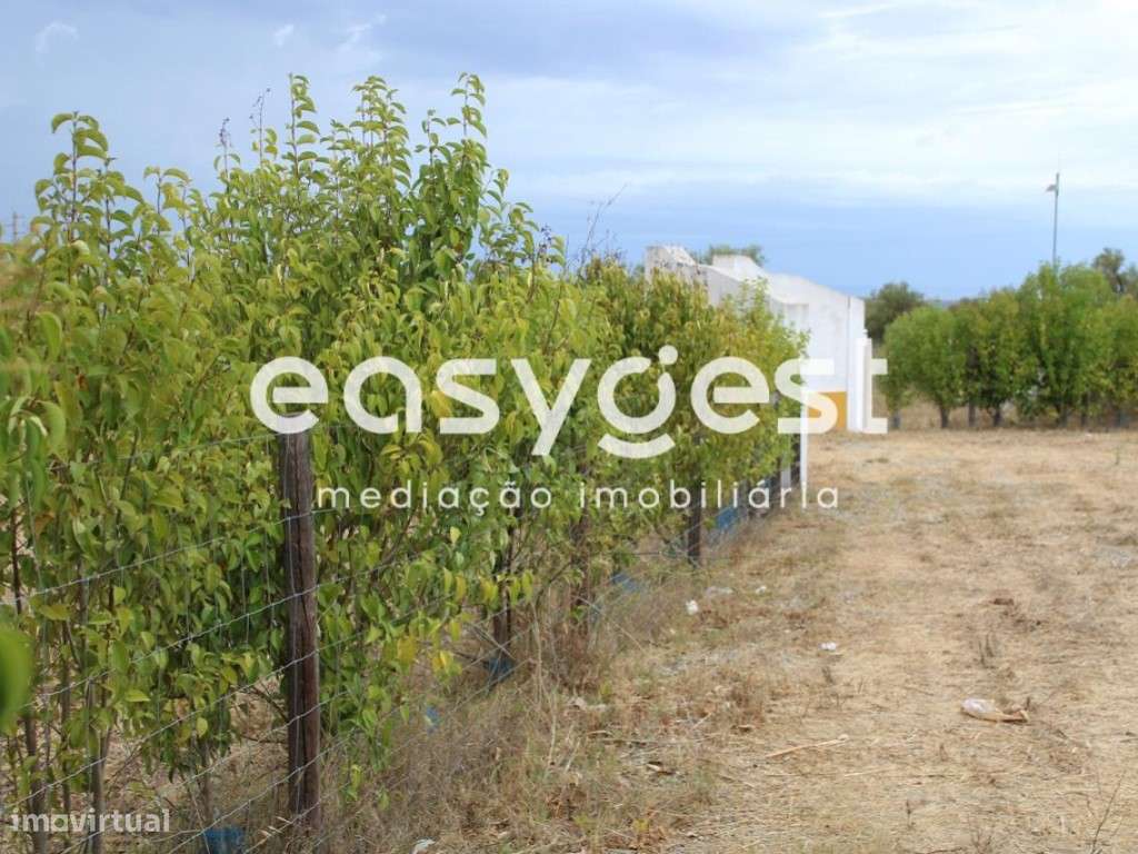 Terreno Rústico em Serpa - Grande imagem: 5/13