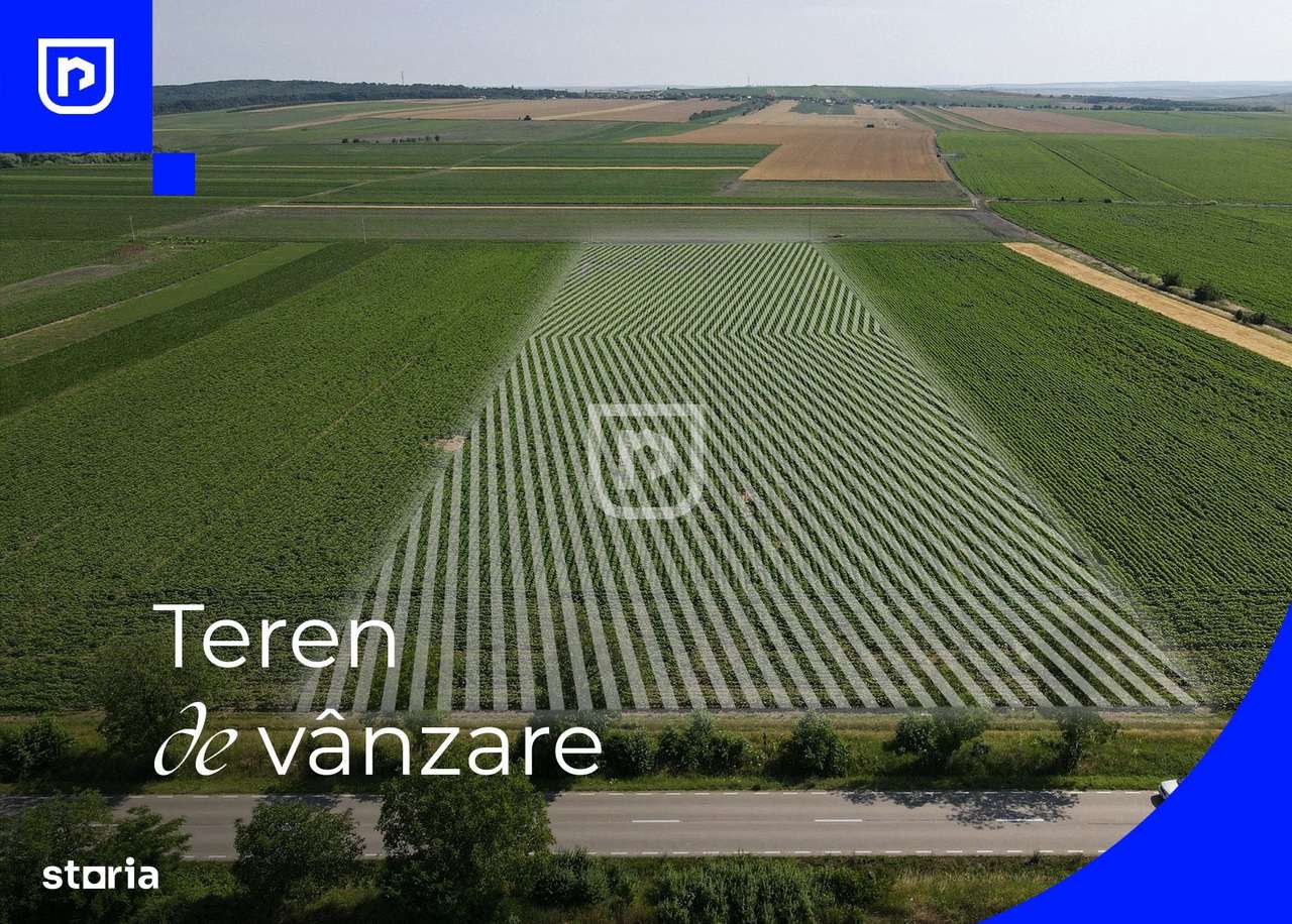 Teren - Orășeni Deal, Curtești | BOTOȘANI | 10.000mp - Imagine principală: 1/8