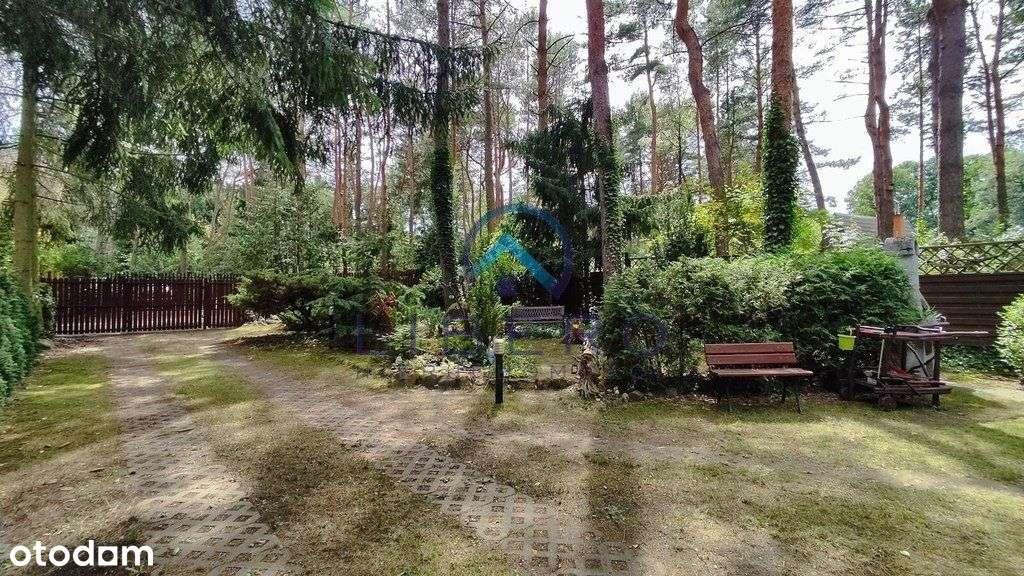 Zadbana nieruchomość rekreacyjna blisko Narwi-5