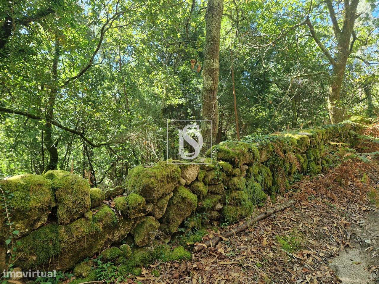 Terrenos em Rio Longo- Vieira do Minho para Venda - Grande imagem: 4/21