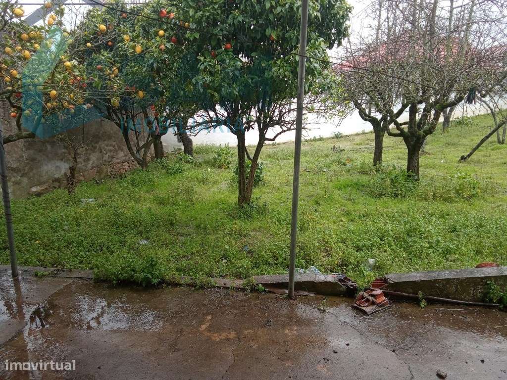 Casa Antiga T2 - Grande imagem: 5/22