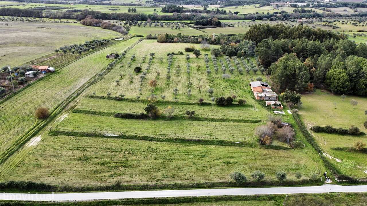 Quinta com 23 hectares junto a serra da gardunha, Soalheira Fundão - Grande imagem: 4/60