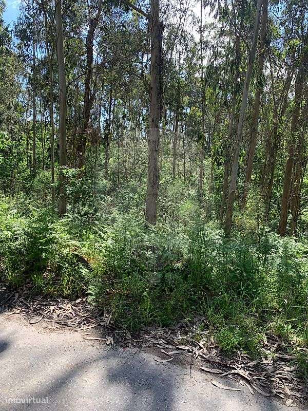 Terreno  para venda - Grande imagem: 3/10