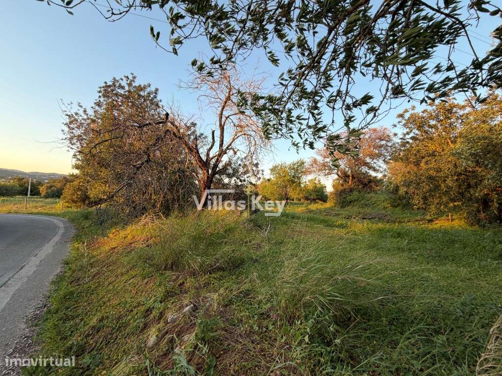 Terreno rústico com terra fértil para agricultura, tanque,nora,bons...-6