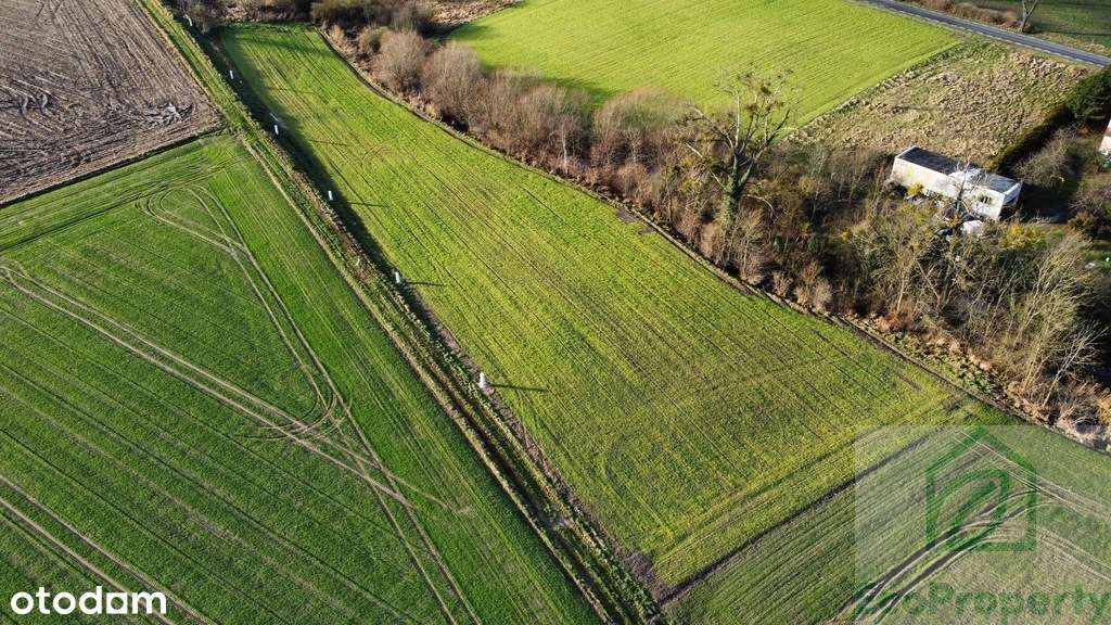 Atrakcyjna działka budowlana Napachanie/Rokietnica - Pełny obrazek: 5/8