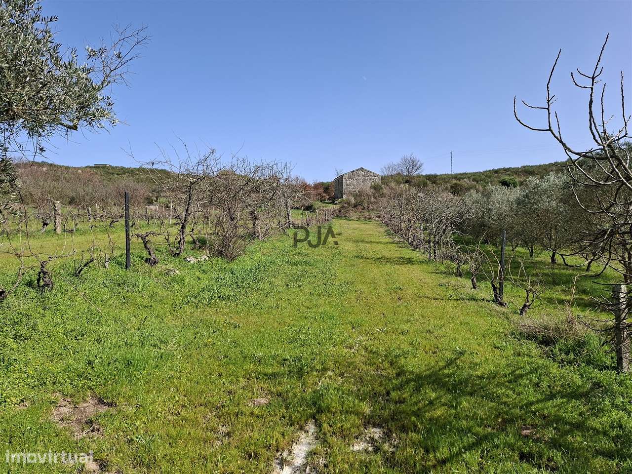 Quinta com 2Ha em Vila Cortês da Serra, Gouveia-15