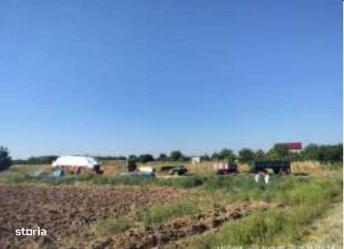 Teren cota parte 1/2, loc Padina, ID: R3457891-0