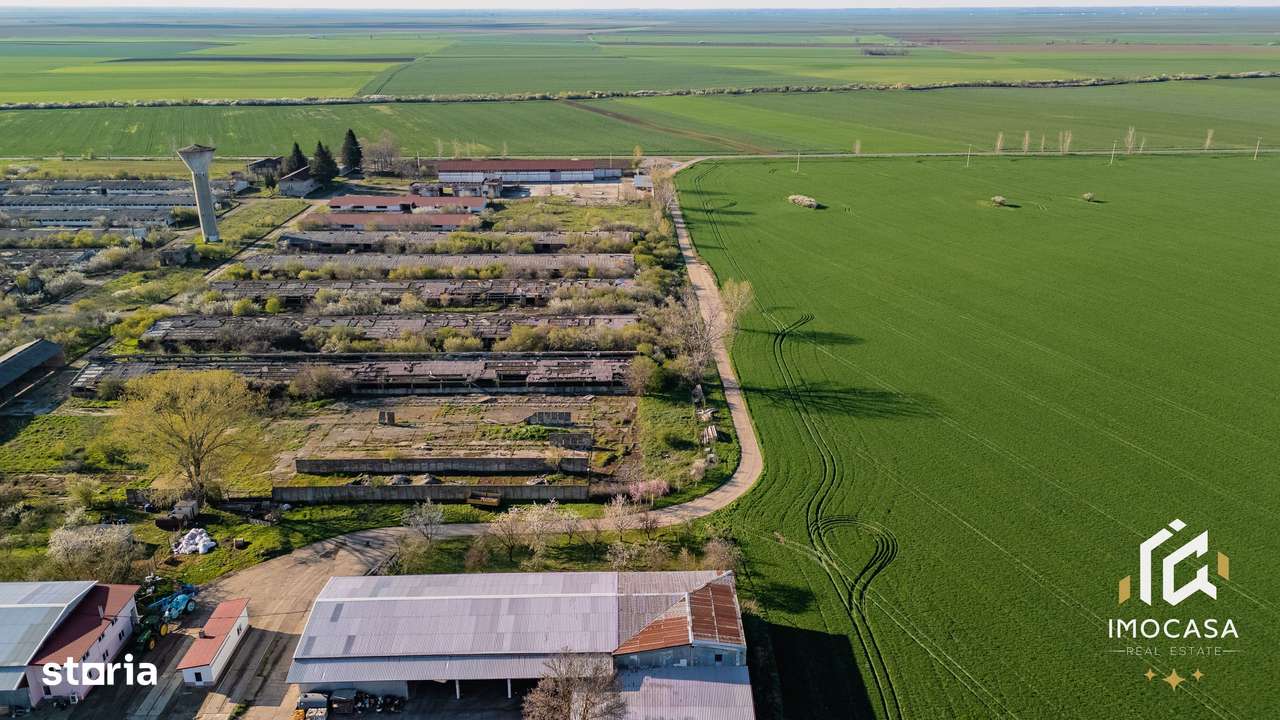 De vanzare Complex Zootehnic Suine Jud. Arad SU 15.30ha, Ferma, Grajd - Imagine principală: 5/15