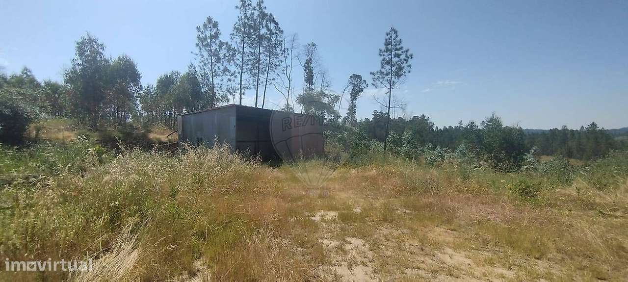 Armazém  para venda - Grande imagem: 5/16