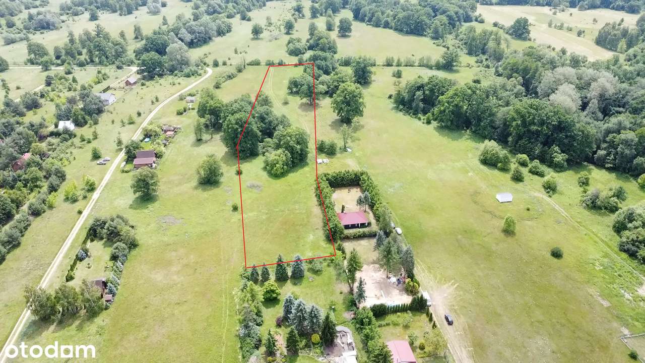 Kępa Kikolska/Gmina Wieliszew - Pełny obrazek: 5/5