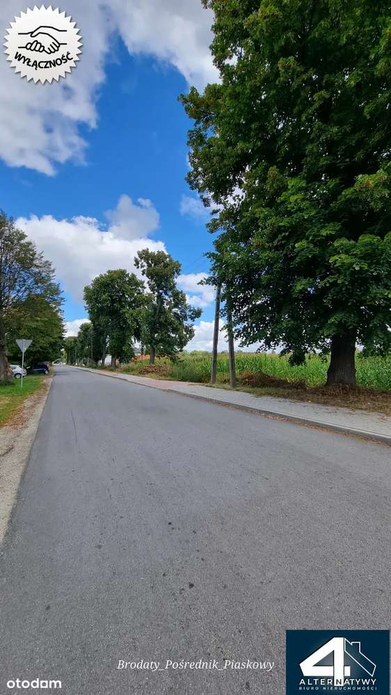 Działka w pobliżu rezerwatu przyrody. - Pełny obrazek: 4/6