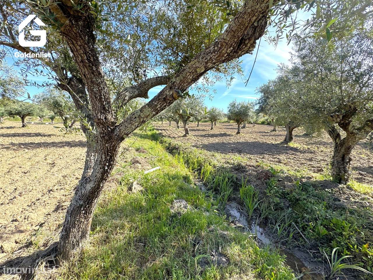 Quinta T2 Venda em Ladoeiro,Idanha-a-Nova-32