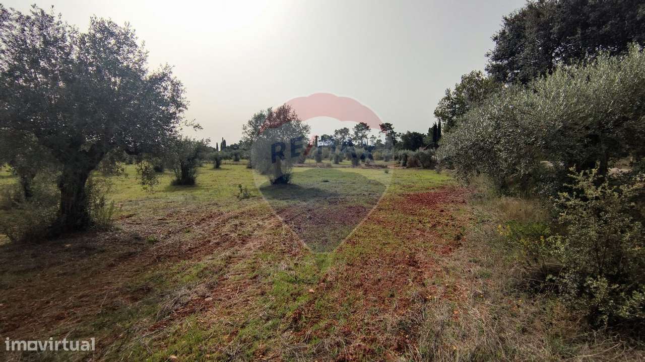 Terreno  para venda - Grande imagem: 4/10