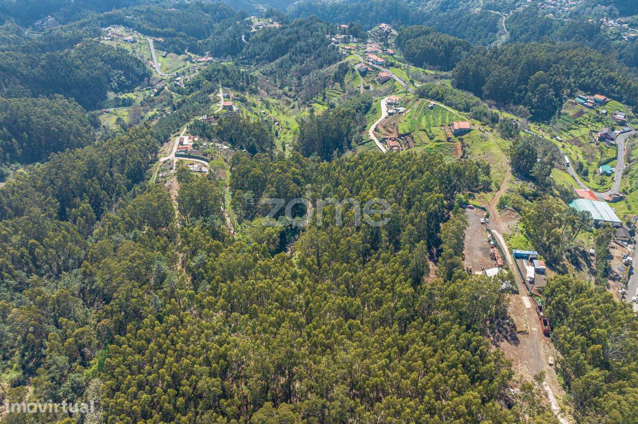 Terreno na Camacha - Grande imagem: 4/8