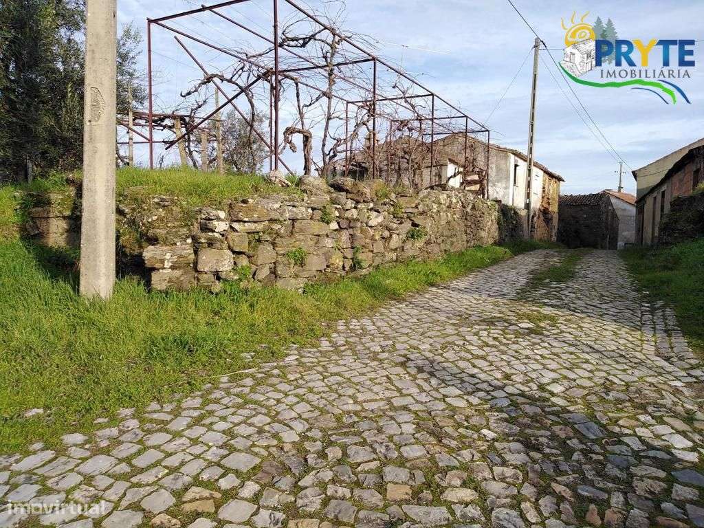 Quintinha composta por casa rústica a 5 minutos da Vila da Sertã - Grande imagem: 5/34