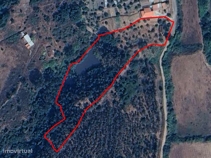 Terreno com cerca de 1 Hectare-19