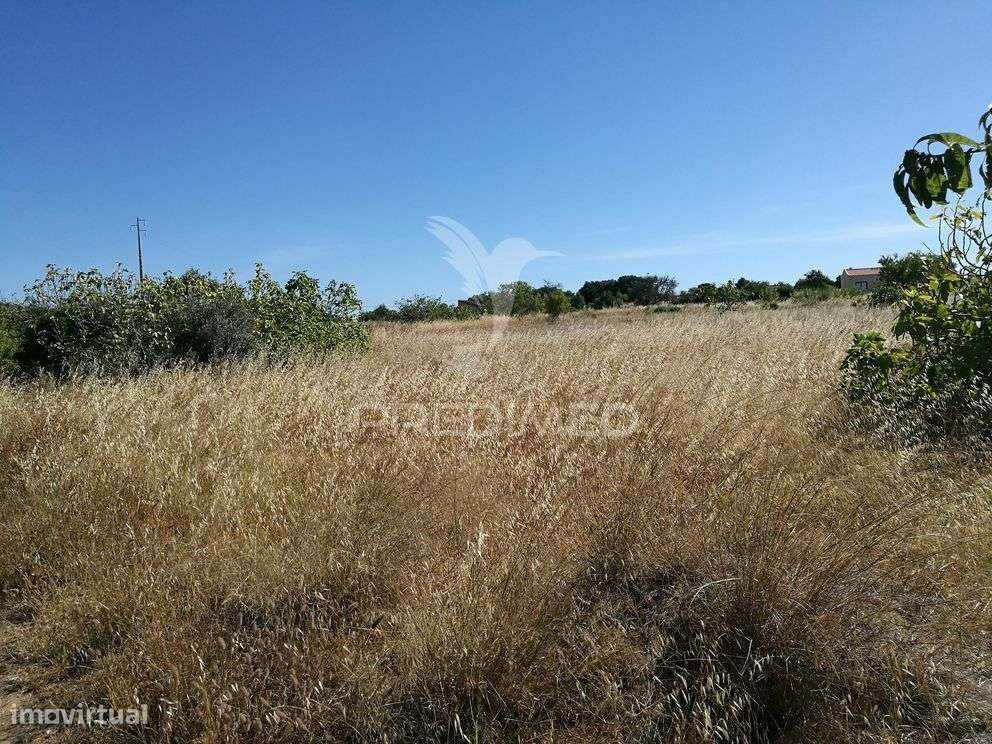 Terreno de 6320m2 com ruína e poço a 14km de Lagos - Grande imagem: 4/15