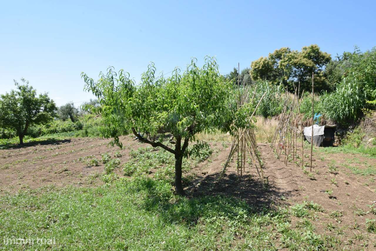 Terreno com 4.522 m² e Viabilidade de Construção - Vila do Carvalho-34