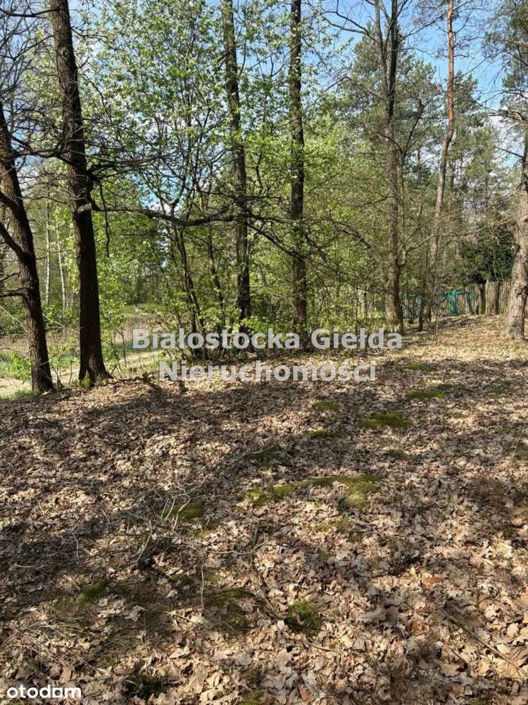 Działka rekreacyjna Baliki osiedle Gwiazda - Pełny obrazek: 4/8