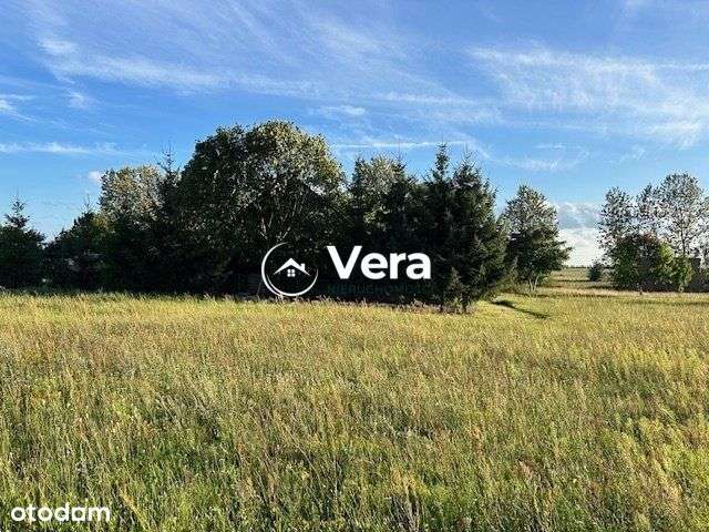 Działka, 5 879 m², Siemianowo - Pełny obrazek: 4/9