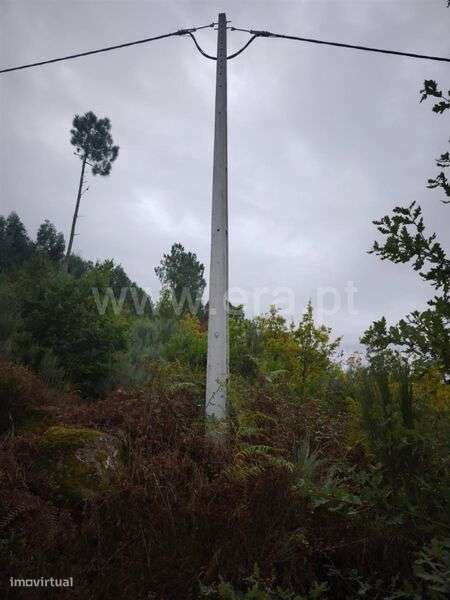 Terreno / Seia, Seia, São Romão e Lapa dos Dinheiros - Grande imagem: 4/7