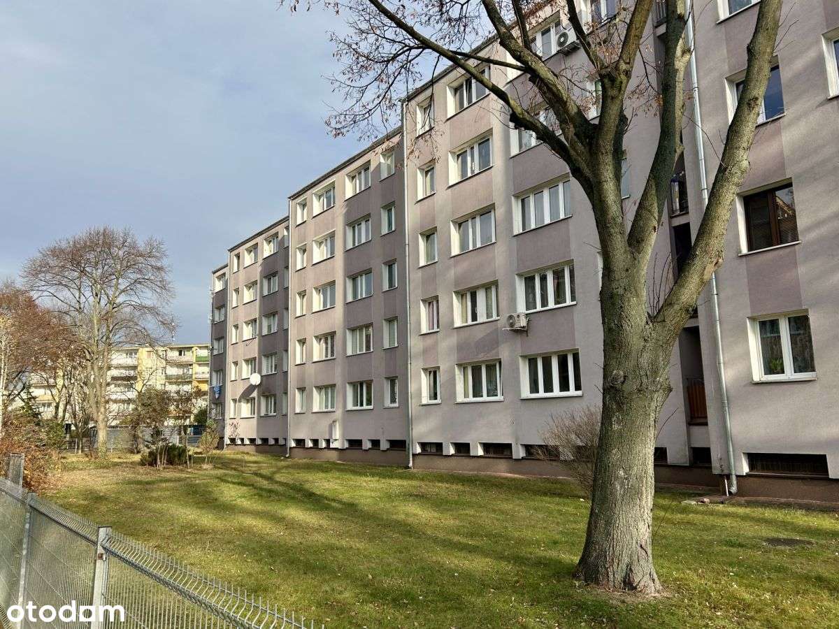 2 pok. 36,43m2, Legionowo, Zegrzyńska 13, Jasne - Pełny obrazek: 1/16